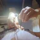 퇴계동 80-1 | [춘천마사지전문점] 춘천마사지 추천 | 퇴계동 "비엣힐링테라피" 프라이빗 룸에서 즐기는 건식·아로마...