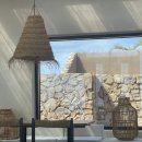 스테이 오아시 이미지