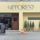히포레스트(Hipporest) 네이버블로그