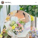 라라플레르 이미지