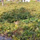 뉴양지공인중개사사무소 이미지