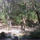 안골길 9 이미지