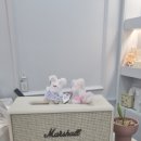 뷰티더문