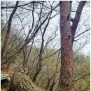 유가사 주차장(구) | 월배봉~청룡산~닭지만당산~정대봉~비슬산~월광봉~유가사 27k (산림&amp;블랙100대 명산) 21.4.17. 토요일