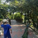 나무그늘파크(park) | 쿠알라룸푸르에서 아이들과 가기 좋은 곳 | KL버드파크(Bird park) 가족여행후기