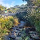 초이지아 이미지