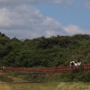 제주 서귀포 안덕면 사계 샤브샤브 월남쌈 무한리필 뷔페 채선당 / 산방산 / 용머리해안