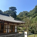 넓은정원별채 이미지