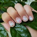 네일(Nail) 또와