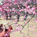 사계절사진관 중앙일보
