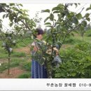 사근농장 네이버블로그