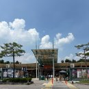 서이천로 853번길 1 | 휴게소먹방/이천쌀핫도그 후라이드닭꼬치 로띠번/다자녀·임산부 혜택이 있는 휴게소🌭🍗🥐🕶️ 내돈내산 후기