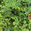 청북프라자 이미지