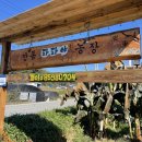 서주길(와룡면) 이미지