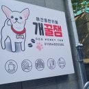 개꿀잼 애견카페 네이버블로그