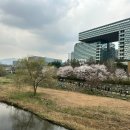 동안교 앞 이미지