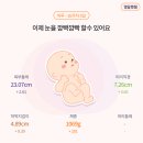임신 중기 -후기 기록 (25주-29주) / 입체초음파,임당검사,아인병원 베동, 코니롤링턱받이