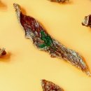 멍멍수제간식 이미지