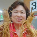 금산수삼시장(주) 이미지