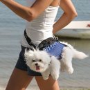 털복숭이친구들 이미지