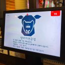 [인천/맛집] 양꼬치 전문점 'LAMB+ 램플러스' 방문 후기
