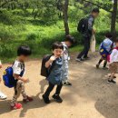 시지아이숲유치원 이미지