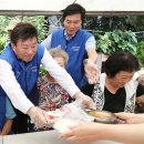 가마자원 이미지