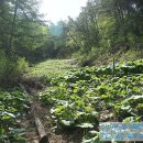 북동농원 이미지