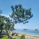 수산과학관(실외) 이미지