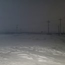 동심(童心)2 이미지