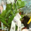 장모님주유소 이미지