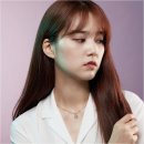 폭스스토리