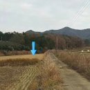 조은날공인중개사사무소 이미지