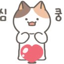 왕십리 고양이 위너펫 24시 이미지