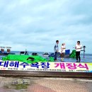 가수주채연 - 춘장대해수욕장 개장식 초대가수- 이미지