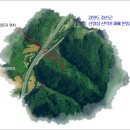 정선산약초