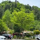 홍천칡냉면 이미지