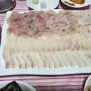 바다회센타 - 안동시 퇴계로 122 | 바다회센타