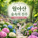 숲속 - 동두천시 중앙로 308 | 숲속
