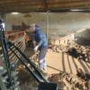 조은기름주유소 이미지