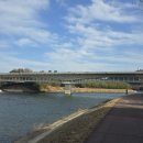 태화강 철새공원 이미지