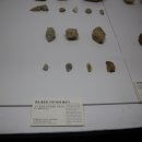 한남대학교 중앙박물관 이미지