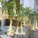 학동초등학교 이미지