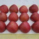 [판매완료] 산빛농장 사과(미얀마 부사) 판매합니다.(아삭하고 달달합니다.) 이미지