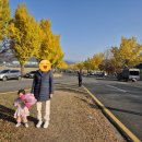 통일전 주차장 화장실 이미지