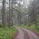 모운동펜션민박 이미지