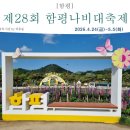 백년다육 | [함평] 제28회 함평나비대축제