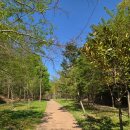 대나무생태원 화장실 이미지