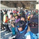 자이태권도 이미지