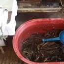 청량리수산시장 이미지